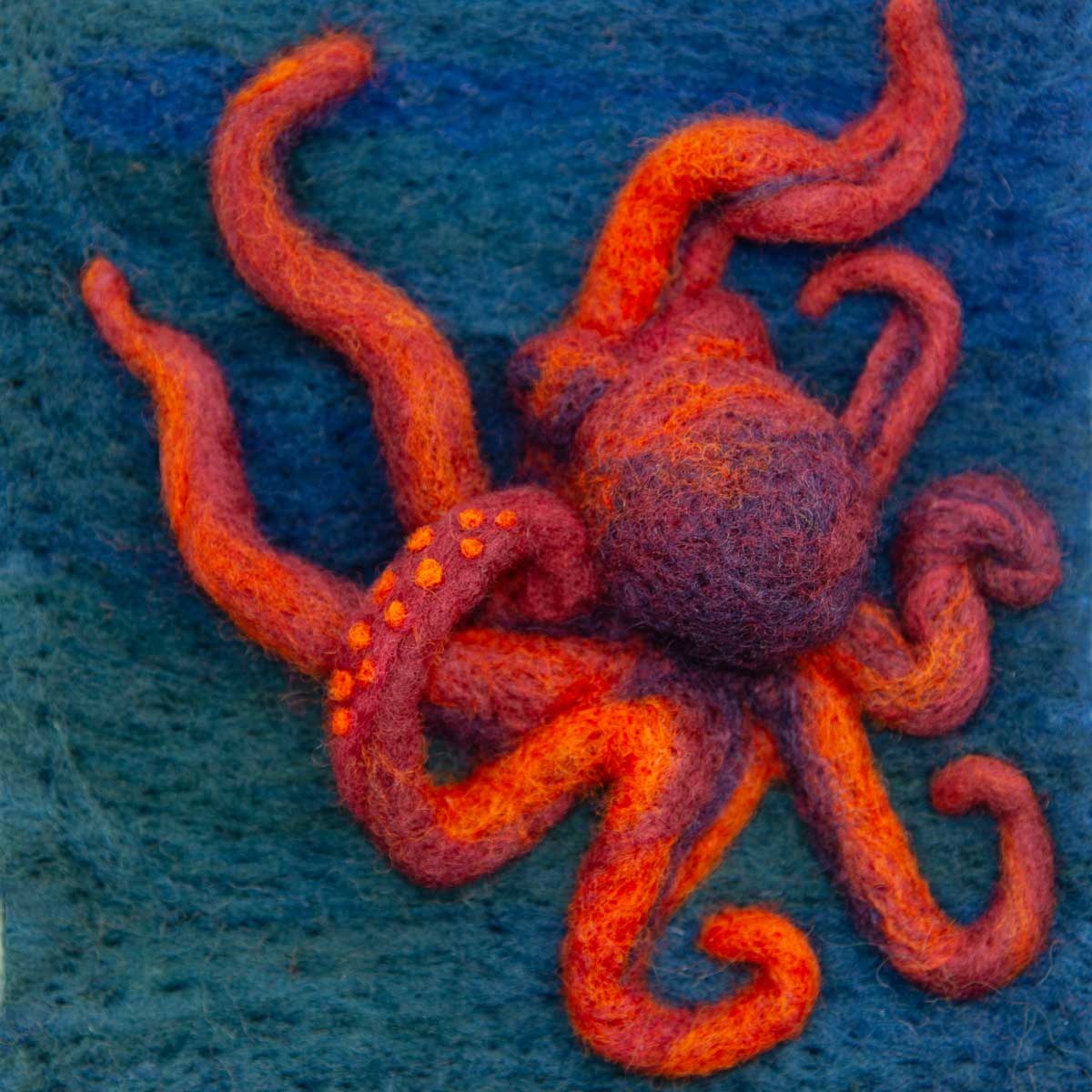 Octopus - Needle Felted Illustration for Hillary Dow's ABC picture book