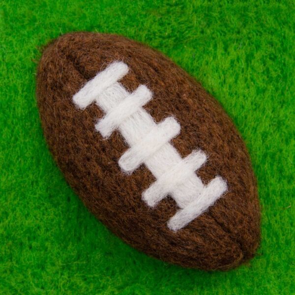 Football original needle felted illustration by Hillary Dow