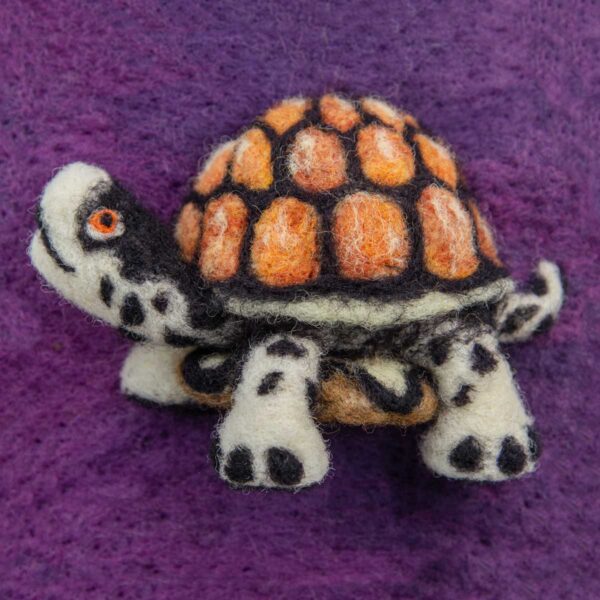 Turtle original needle felted illustration by Hillary Dow