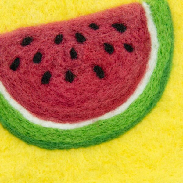 Watermelon original needle felted illustration by Hillary Dow