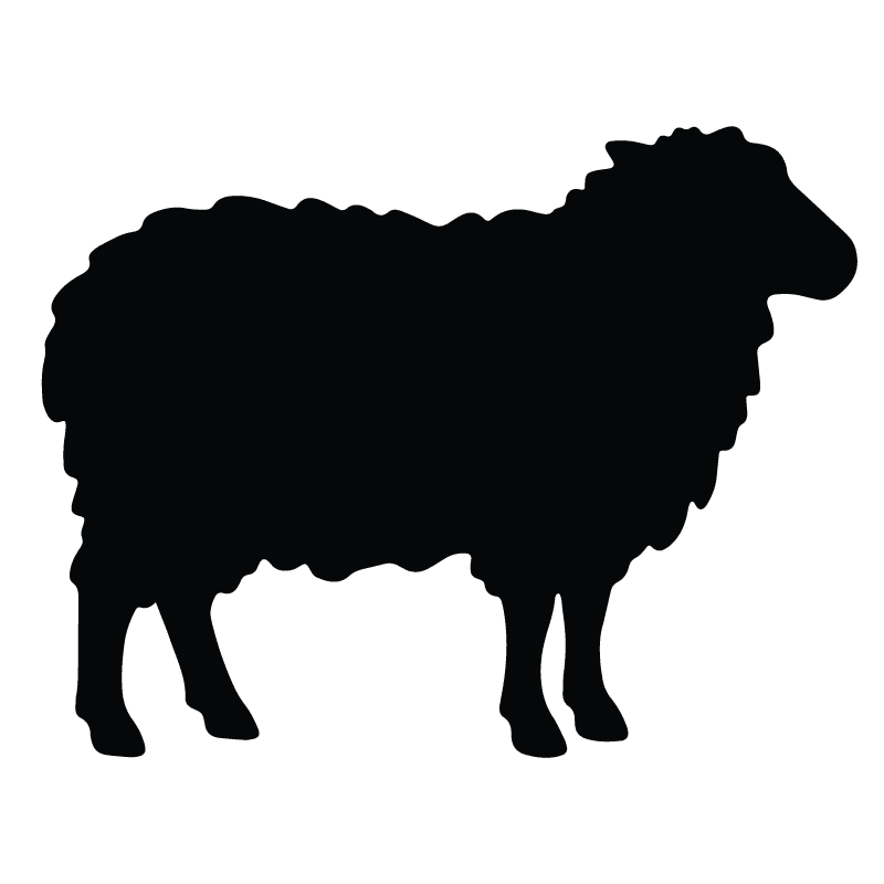 Sheep icon classroom felting kits, wool sourced from Maine farms