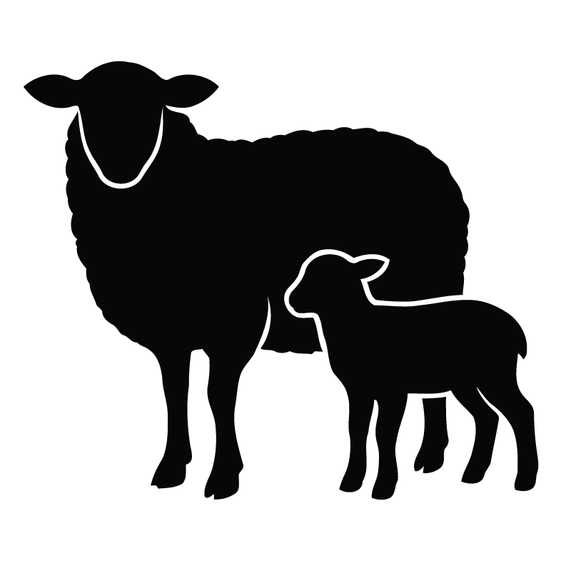 Sheep icon classroom felting kits, wool sourced from Maine farms